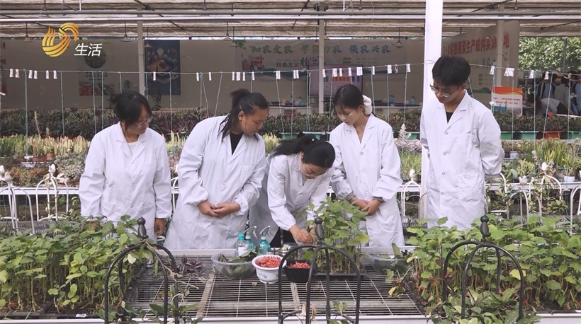 济宁市高级职业学校深耕职业教育，构建技能人才新高地(图8)