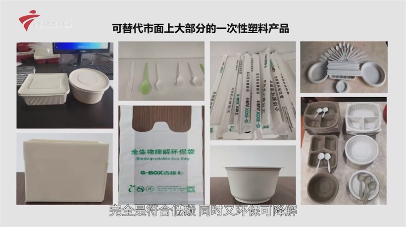 华南理工大学教授陈广学谈“双碳”背景下食品包装材料的发展新趋势(图4)