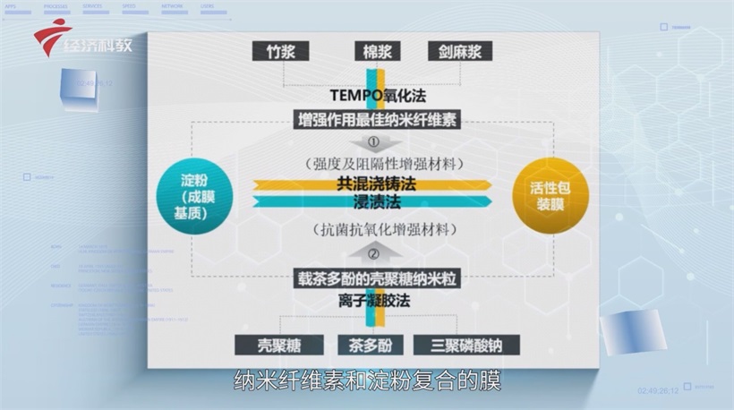 华南理工大学教授陈广学谈“双碳”背景下食品包装材料的发展新趋势(图6)