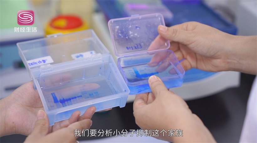 开悦生命引领抗癌药物创新，助力坪山生物医药产业发展(图7)