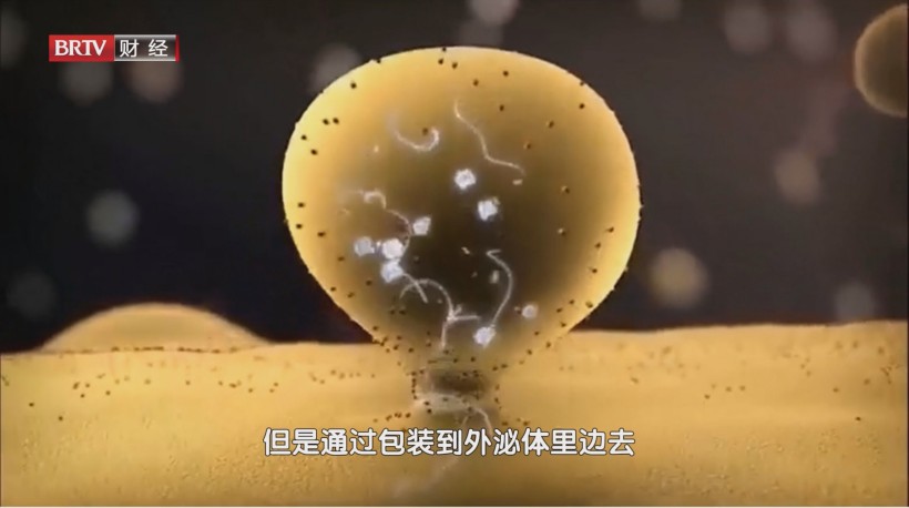 HICOOL2024全球创业者峰会聚焦国典医药，诱导多能干细胞外泌体为药物研发开辟新路径(图7)