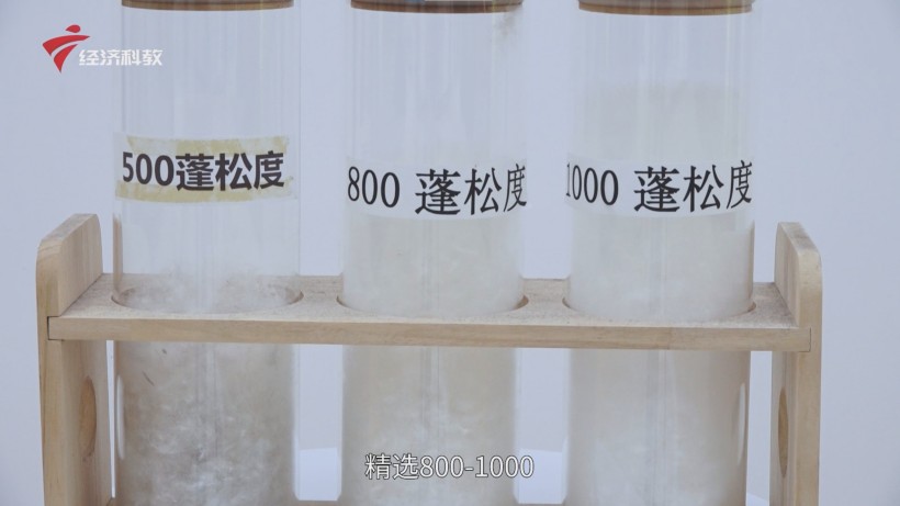 君羽羽绒服以严苛标准引领行业，打造轻盈保暖新时尚(图4)