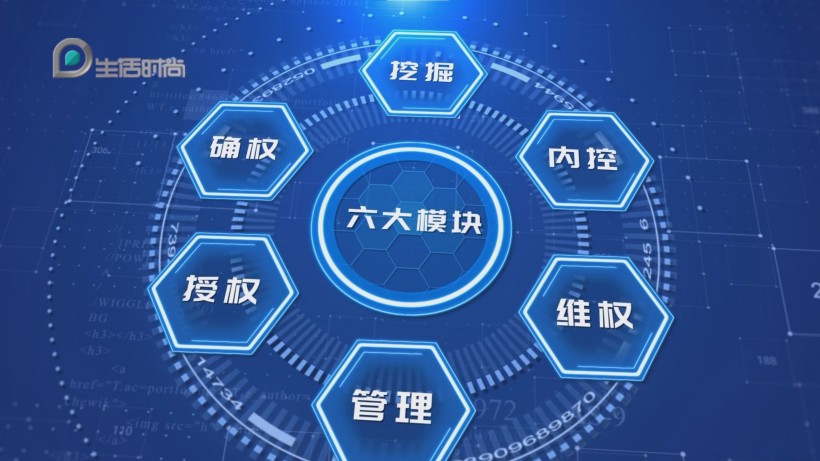 上海中申律师事务所荣登2024商标代理600强榜单(图6)