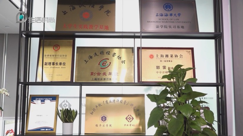 上海中申律师事务所荣登2024商标代理600强榜单(图7)