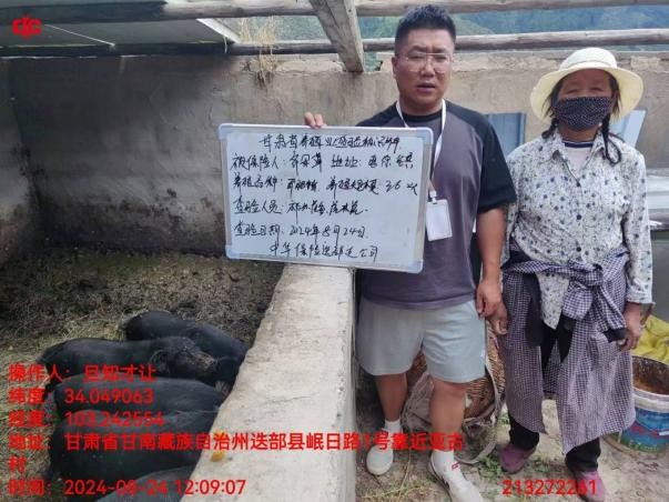走进迭部 赋能振兴——东证期货“IF公益”重走新时代伟大长征路(图3)