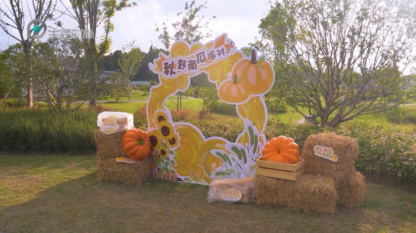 上海植物园秋季园艺展：赏秋日美景，品园艺文化(图5)