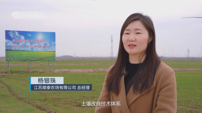 顺泰农场盐碱地改良获省级创新奖，引领农业绿色发展新方向(图3)