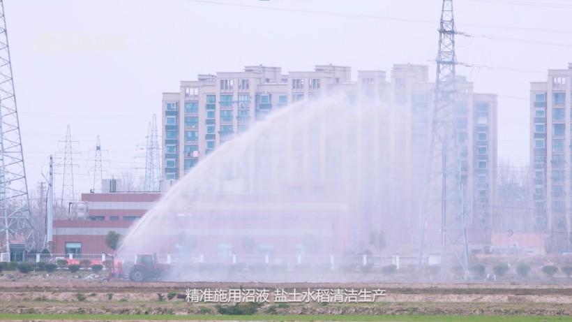 顺泰农场盐碱地改良获省级创新奖，引领农业绿色发展新方向(图4)