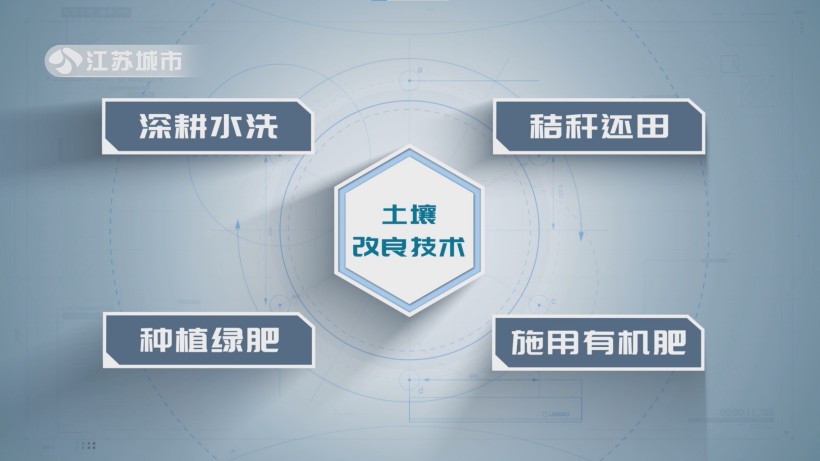 顺泰农场盐碱地改良获省级创新奖，引领农业绿色发展新方向(图5)