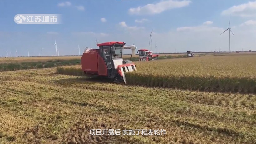 顺泰农场盐碱地改良获省级创新奖，引领农业绿色发展新方向(图7)
