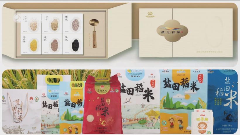 顺泰农场盐碱地改良获省级创新奖，引领农业绿色发展新方向(图8)