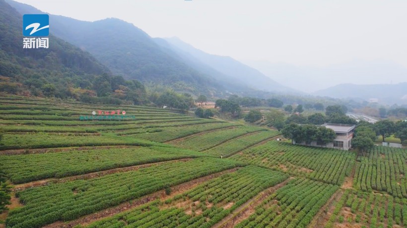 奉化利源农业绿色科技引领，荣获长三角优质农产品基地殊荣(图2)