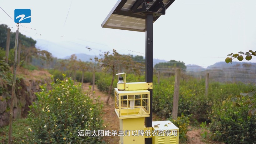 奉化利源农业绿色科技引领，荣获长三角优质农产品基地殊荣(图4)