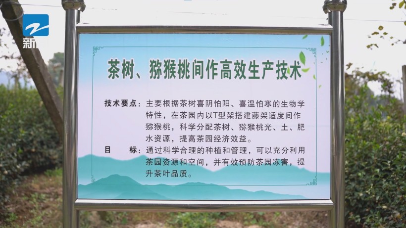 奉化利源农业绿色科技引领，荣获长三角优质农产品基地殊荣(图6)
