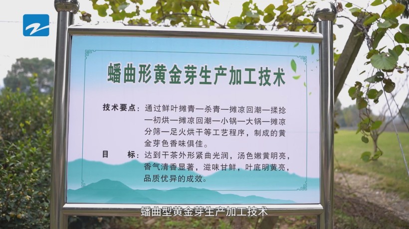奉化利源农业绿色科技引领，荣获长三角优质农产品基地殊荣(图7)