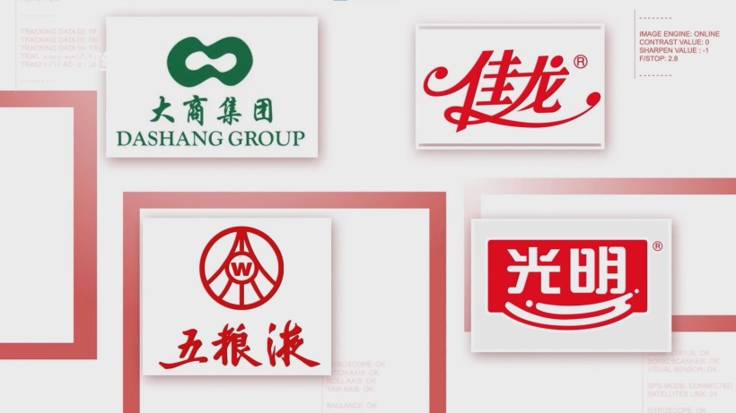 启诗录设计力作亮相进博会，尼加拉瓜展馆引领风尚(图6)