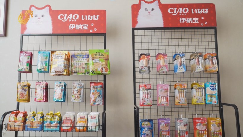 青岛稻进食品匠心制食，守护宠物幸福成长(图3)