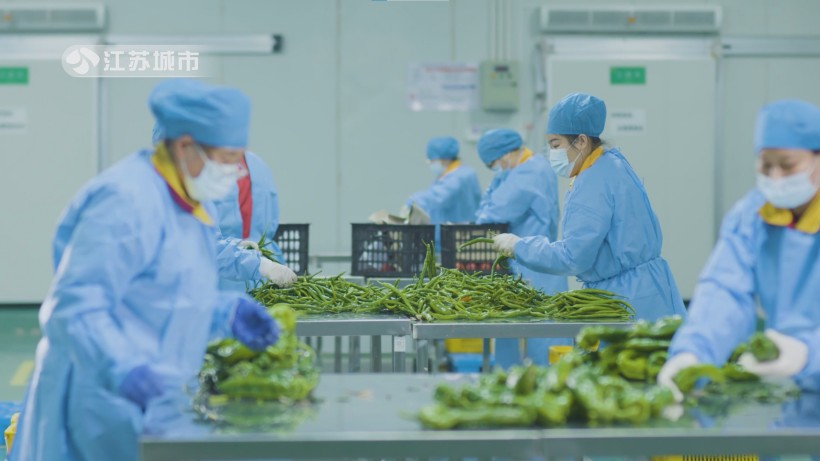 昆山共青团膳餐饮获龙头殊荣，筑牢食品安全防线(图2)