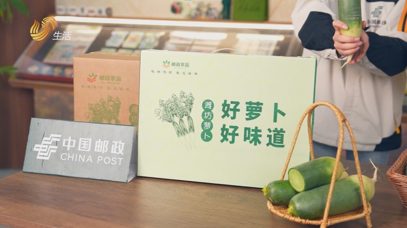 潍坊萝卜“邮”向全国，邮政助农再创新佳绩