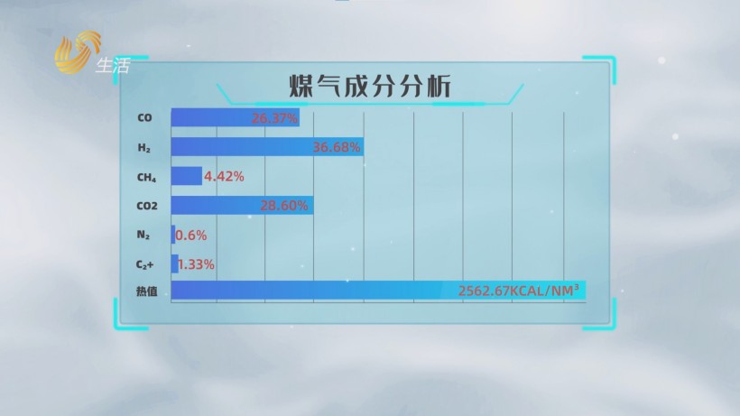 济南黄台煤气炉公司推动煤气化技术创新，助力“双碳”目标(图4)