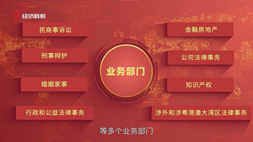 广东世纪华人律师事务所：四十载耕耘法治，新起点再谱华章(图7)