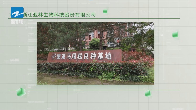 亚林松花粉，引领国潮养生新风尚(图2)