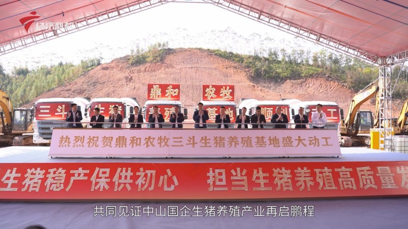 鼎和农牧三斗生猪养殖项目盛大动工，中山国企生猪养殖产业再启鹏程(图1)