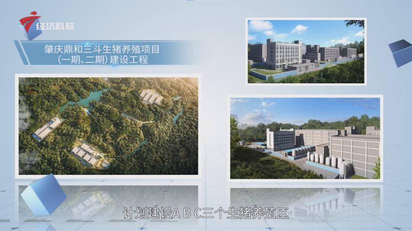 鼎和农牧三斗生猪养殖项目盛大动工，中山国企生猪养殖产业再启鹏程(图2)
