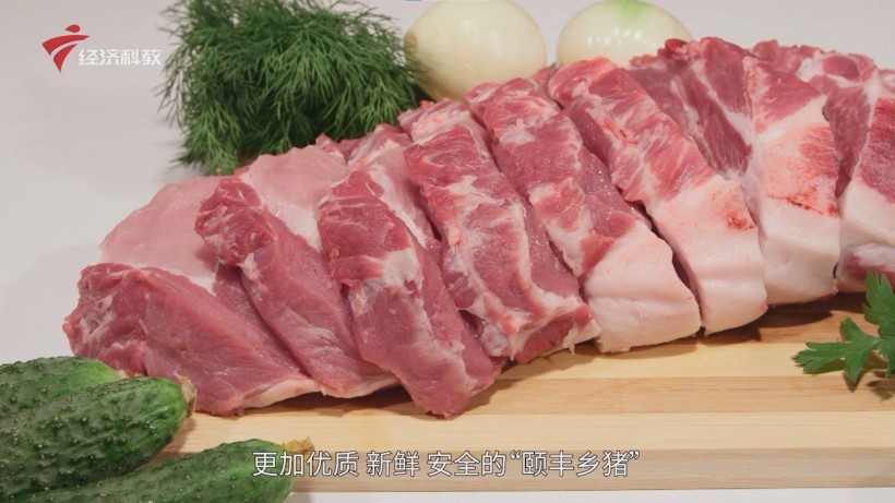 鼎和农牧三斗生猪养殖项目盛大动工，中山国企生猪养殖产业再启鹏程(图5)