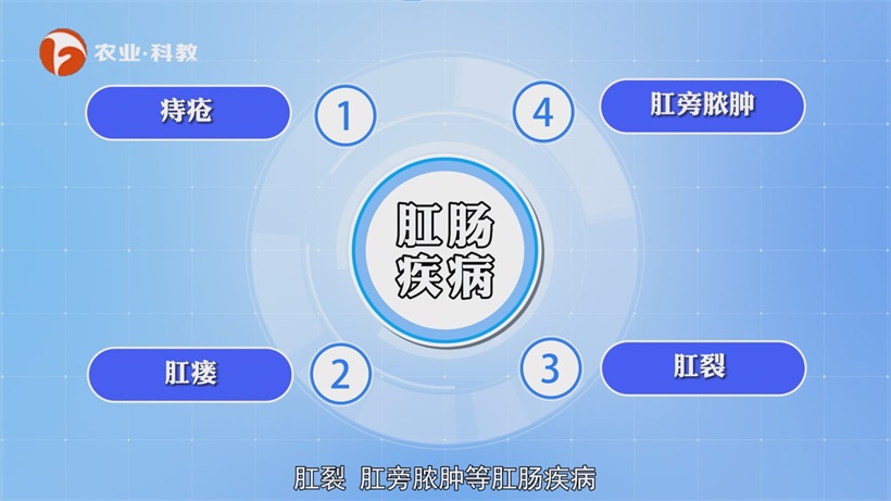固镇恒康医院深耕肛肠专科，引领肛肠便秘诊疗技术革新(图3)
