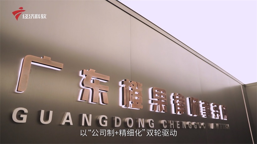 广东橙果律所:以专业匠心筑牢法基,打造湾区法治新典范