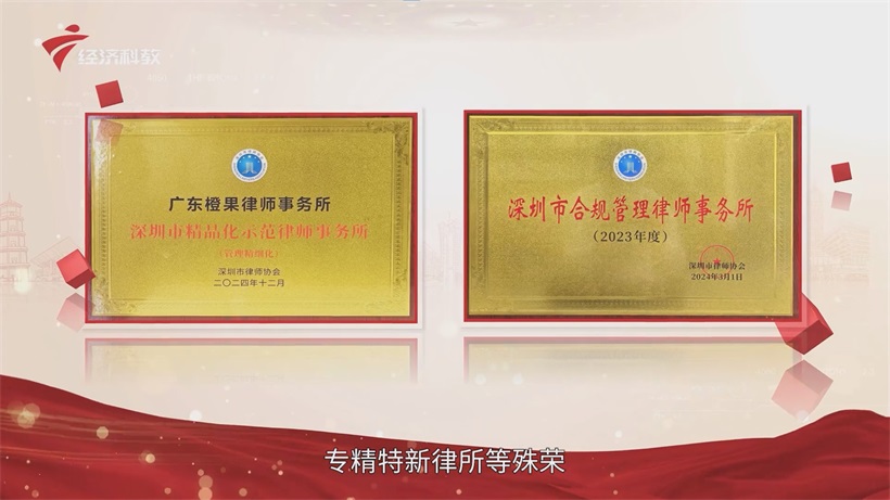 广东橙果律所：以创新之姿领航法治服务，铸就湾区法治新典范(图2)