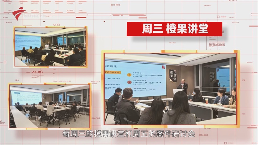 广东橙果律所：以创新之姿领航法治服务，铸就湾区法治新典范(图4)