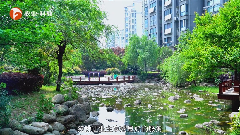 循李白诗意之履，赏顺昌匠筑之居——富景垚小区的诗意栖居(图2)