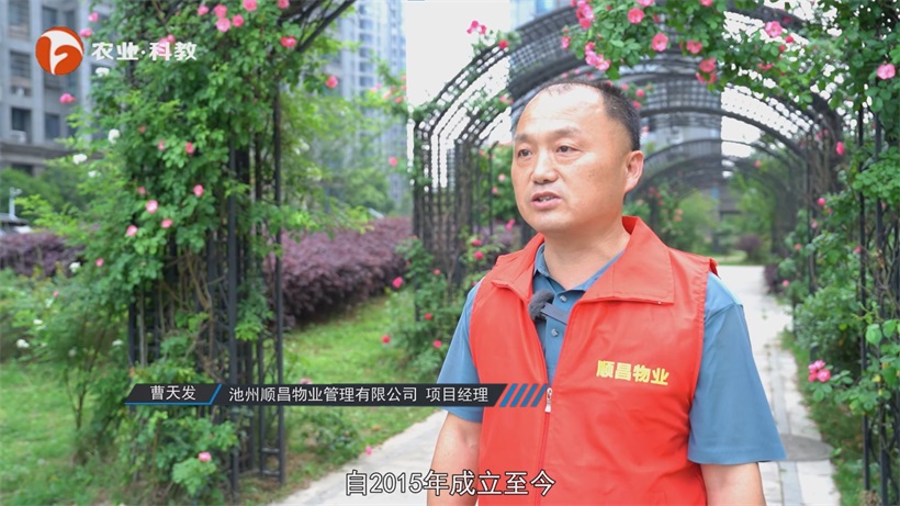 循李白诗意之履，赏顺昌匠筑之居——富景垚小区的诗意栖居(图6)