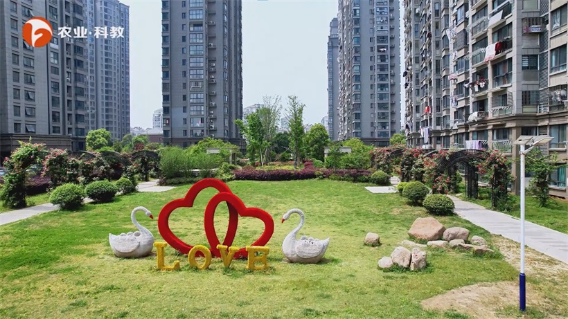 循李白诗意之履，赏顺昌匠筑之居——富景垚小区的诗意栖居(图7)