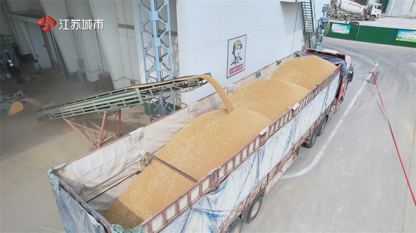 中央储备粮淮安直属库获评江苏省 A 级守法诚信企业，筑牢粮食安全 “压舱石”(图4)