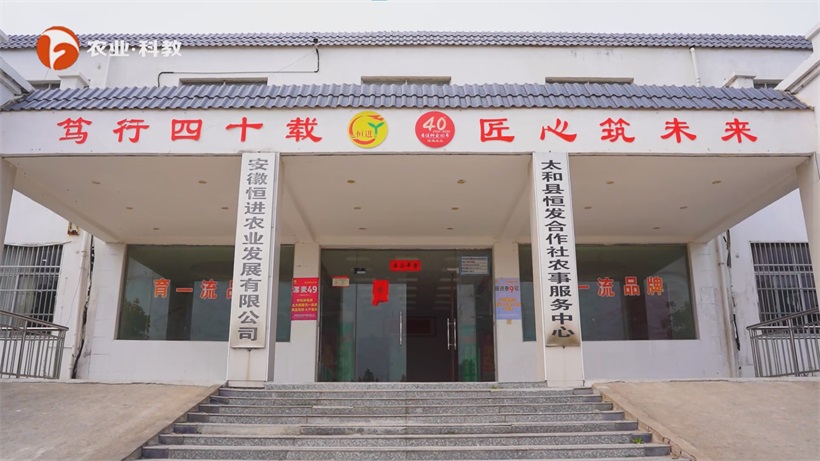 安徽恒进农业深耕小麦育种四十余载，以科技创新赋能小麦产业新发展(图1)
