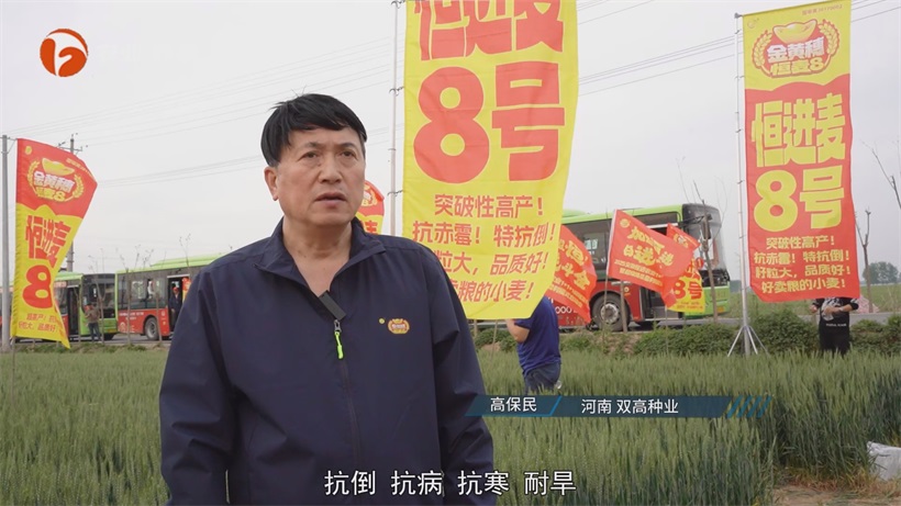 安徽恒进农业深耕小麦育种四十余载，以科技创新赋能小麦产业新发展(图5)