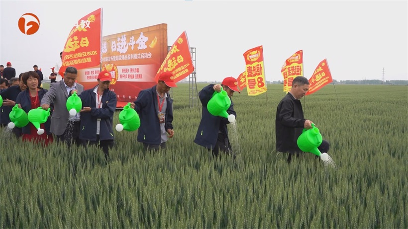 安徽恒进农业深耕小麦育种四十余载，以科技创新赋能小麦产业新发展(图6)