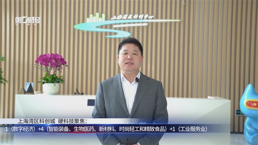 上海湾区科创城：立足上海科创前沿，打造创新热土(图7)