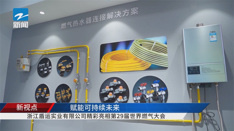第29届世界燃气大会聚焦可持续未来，浙江盾运实业创新引领燃气行业绿色发展(图6)