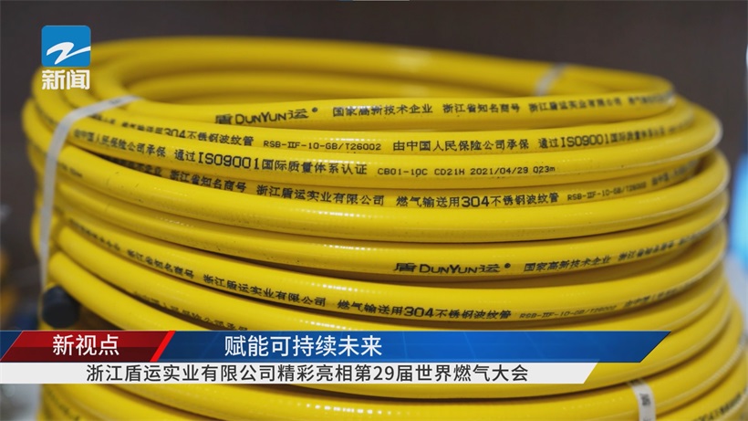 第29届世界燃气大会聚焦可持续未来，浙江盾运实业创新引领燃气行业绿色发展(图7)
