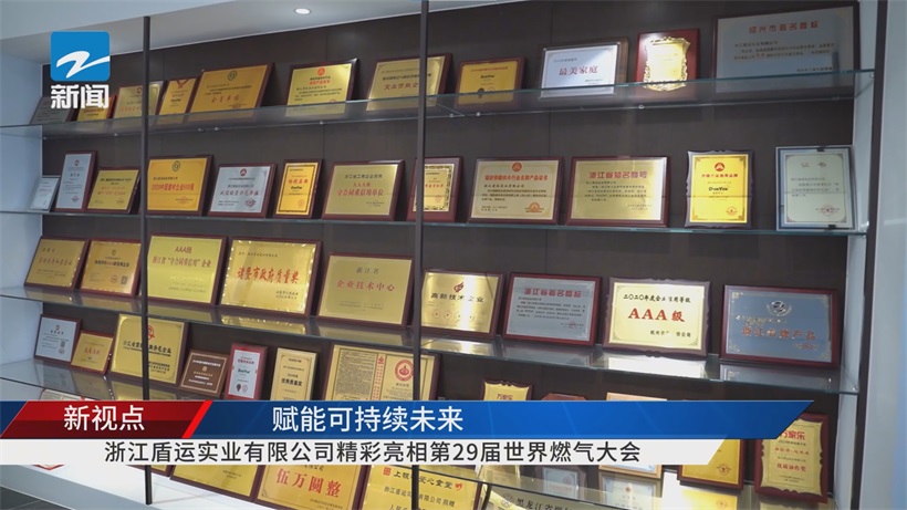 第29届世界燃气大会聚焦可持续未来，浙江盾运实业创新引领燃气行业绿色发展(图8)