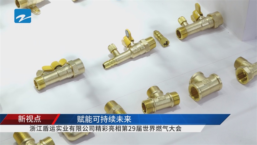 第29届世界燃气大会聚焦可持续未来，浙江盾运实业创新引领燃气行业绿色发展(图9)