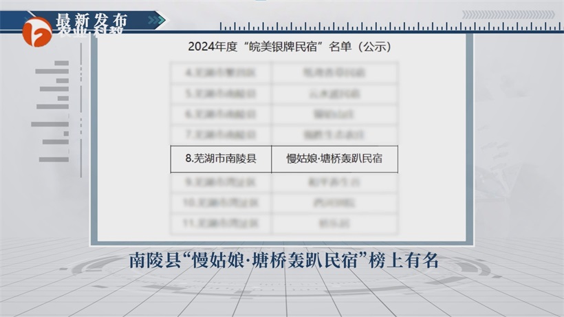 “慢姑娘·塘桥轰趴民宿”入选银牌民宿，助力南陵乡村旅游高质量发展(图1)