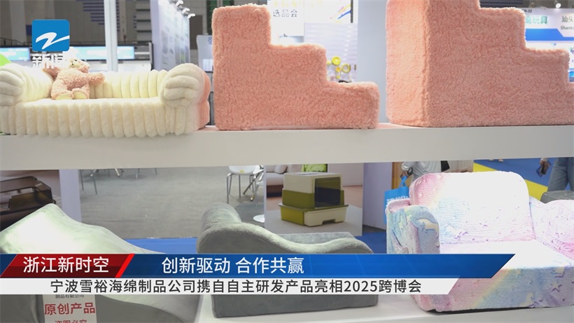 宁波雪裕亮相2025中国（宁波）跨博会，以创新绘就宁波制造跨境新蓝图(图4)