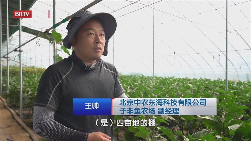 子非鱼农场入选2025科普基地：特色农技赋能，共绘农业科普新蓝图(图2)
