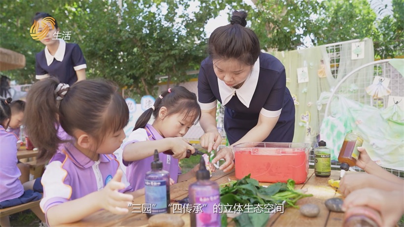 北湖二园入选首批“生态友好幼儿园”项目试点，引领学前教育绿色转型新方向(图2)