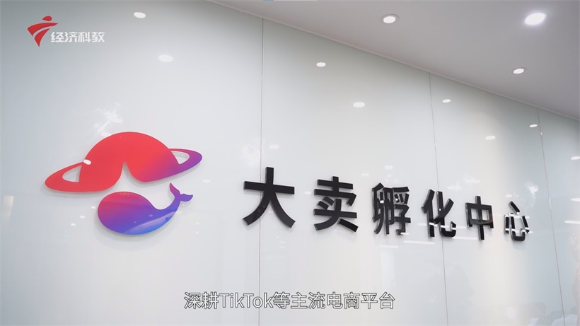 大卖孵化中心一站式赋能，引领中国中小卖家跨境电商出海新征程(图1)